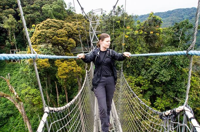 Nyungwe National Park